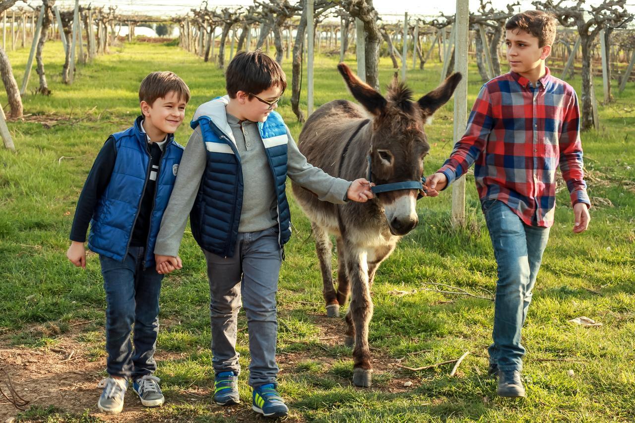 Azienda Agrituristica Il Pago Нова-Сірі-Маріна Екстер'єр фото
